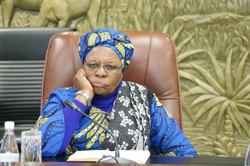 Autocracies vs democracy_Swapo_Heather Erdmann Guided democracy or autocracy …how parties choose their MPs