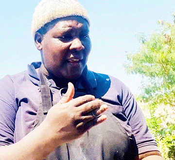 Donkey Ounyenye wondoongi‘…memwili nonghambe ku dja mo’