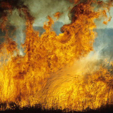 Farmers Kraal 2 Farmers’ kraal – How farmers can manage veld fires