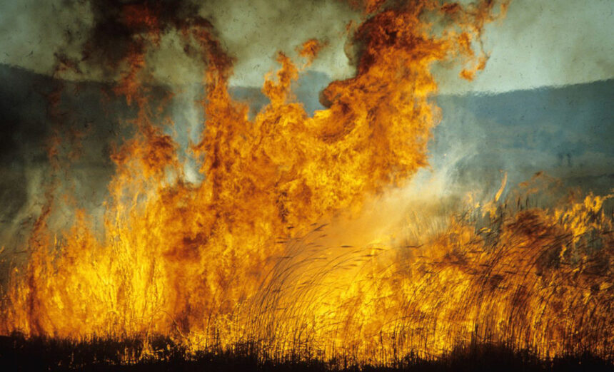 Farmers Kraal 2 Farmers’ kraal – How farmers can manage veld fires