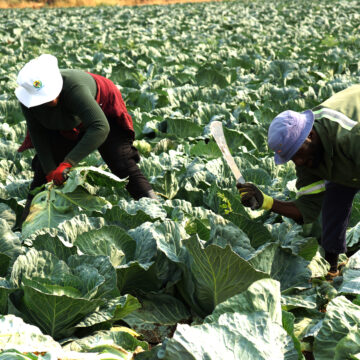 Food Processing Mbumba prioritises agro-processing centres… targets food security, farmers empowerment