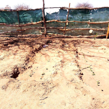 Garden Projects 1 Water scarcity cripples gardens in Epukiro… more boreholes needed