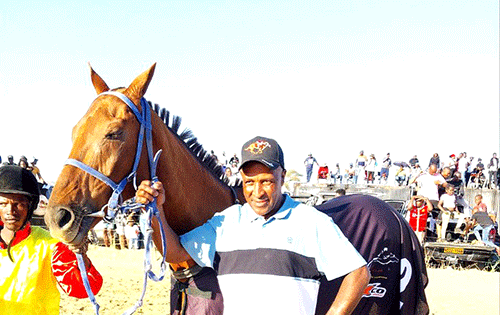 Horse-1-jpg Freedom Fighter quits racing