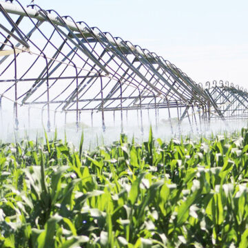 NAHA Awards Agronomic board awards top producers… donates N$1m towards drought