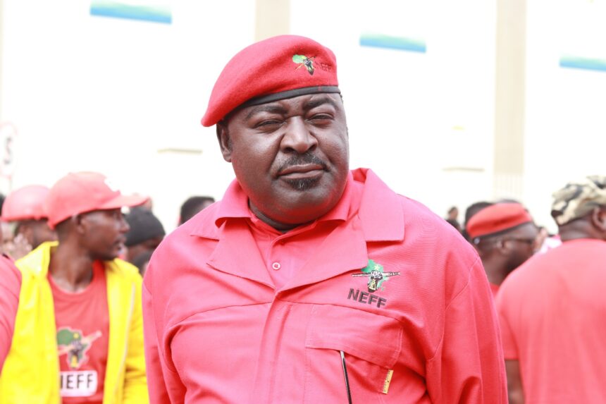 NEFF ECN ota kambadhala okushunitha ongundu yo-NEFF monima – Mukwiilongo