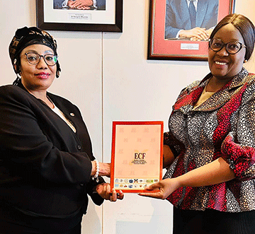 Pre-election-assesment-jpg ECN vows to deliver credible elections