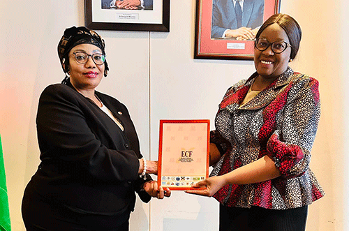 Pre-election-assesment-jpg ECN vows to deliver credible elections