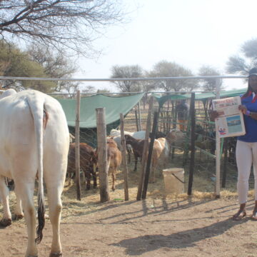 Trade Fair Okakarara trade fair in full swing