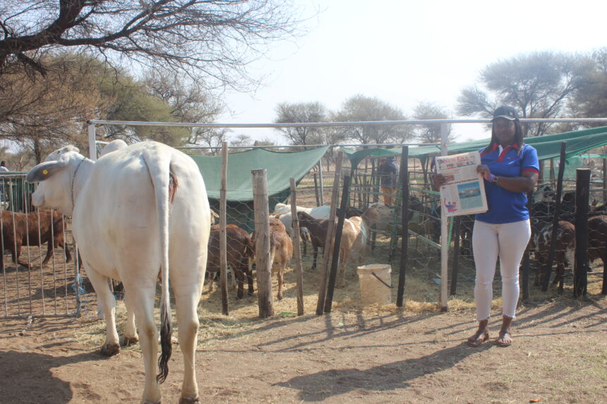 Trade Fair Okakarara trade fair in full swing