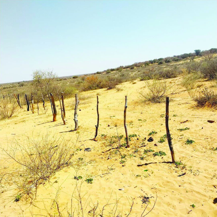 illegal fencing Illegal fences lock poor Omaheke farmers out