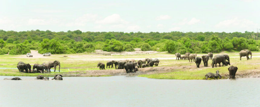 Conservancies Conservancies launch umbrella alliance