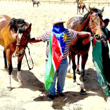 Horse jpg Namibia racehorses shine in Botswana