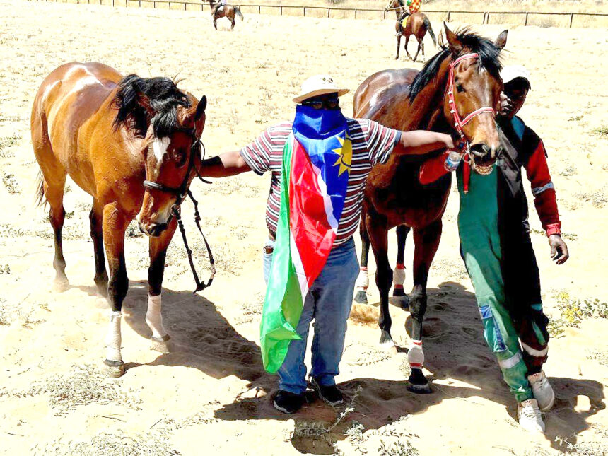 Horse jpg Namibia racehorses shine in Botswana