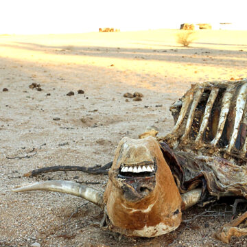 Nedbank Nedbank raises N$250 000 to assist farmers