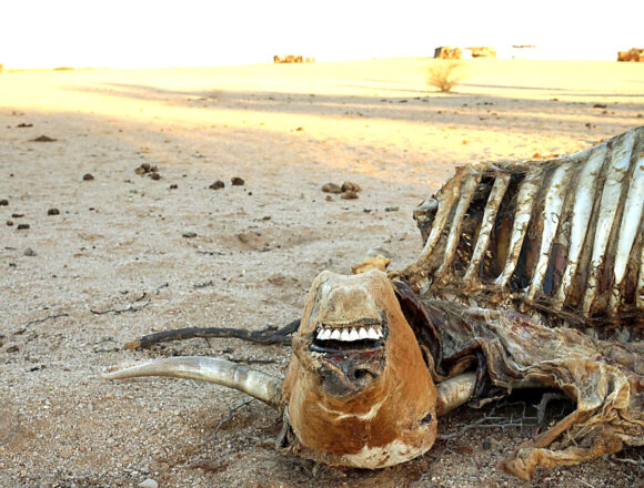 Nedbank Nedbank raises N$250 000 to assist farmers