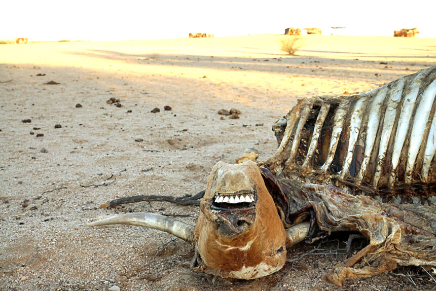 Nedbank Nedbank raises N$250 000 to assist farmers